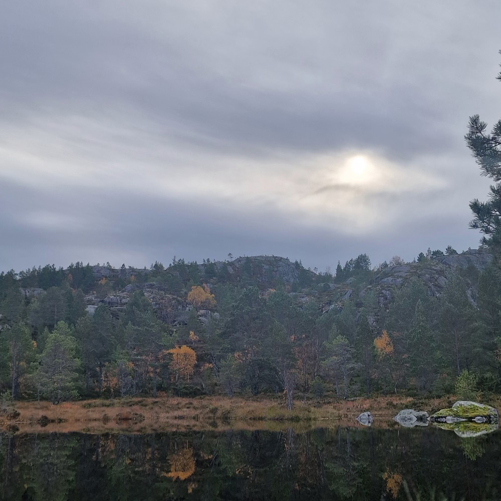 Profile image of Ramp Rampesen