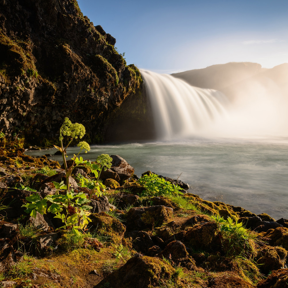 Profile image of Ole Rein