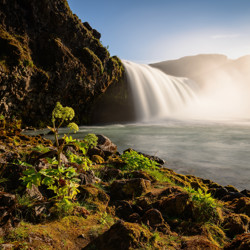 Profile image of Ole