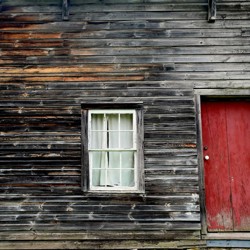 Profile image of fdsfds