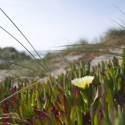 Profile image of Erlends