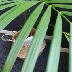 Profile image of Dan