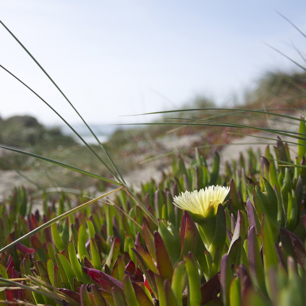 Profile image of Er Er