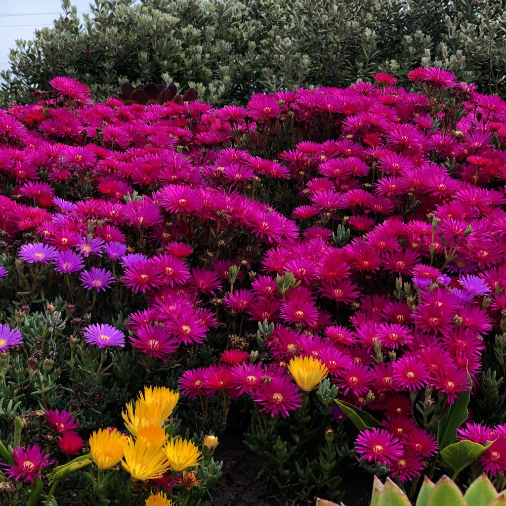 Profile image of Bajep Bajep