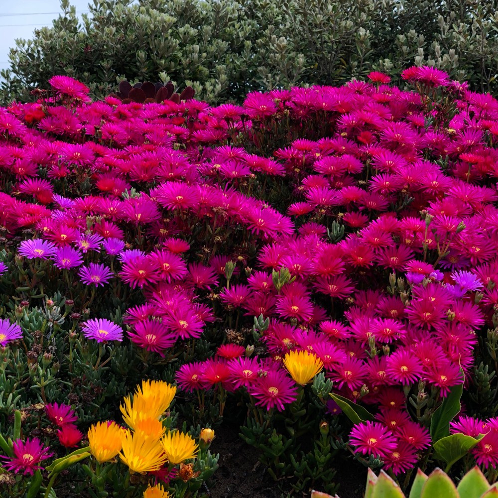 Profile image of Fdsfw Fewfe