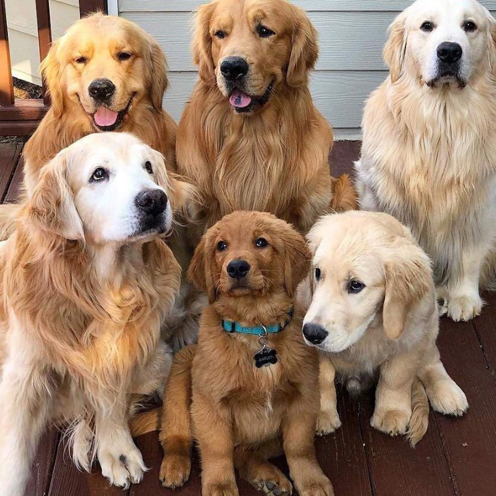 Profile image of Cleaner Guz